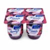 Treats زبادي طازج بقطع التوت *4