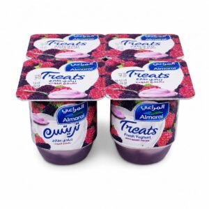 Treats زبادي طازج بقطع التوت *4